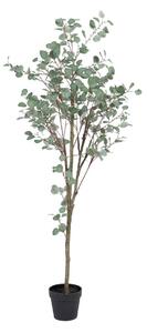 Decorative Plant Polyethylene Eucalyptus 80 x 82 x 180 cm