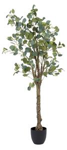 Decorative Plant 78 x 68 x 150 cm Green PVC Eucalyptus