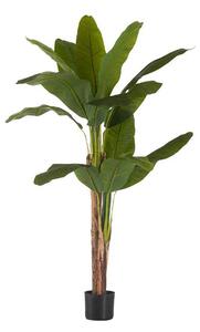 Decorative Plant Banana plant Green Plastic (80 x 150 x 80 cm)