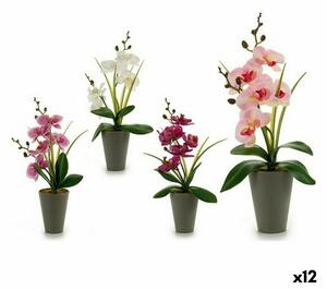 Decorative Plant Orchid Plastic 8 x 35 x 14 cm (12 Units)