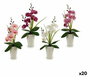 Decorative Flower Orchid Plastic 14 x 35 x 8 cm (12 Units)