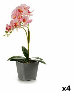 Decorative Plant Orchid Plastic 20 x 47 x 33 cm (4 Units)