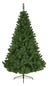 Christmas Tree EDM 680314 Pinewood