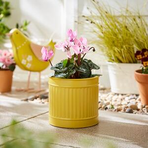 Small Bright Metal Plant Pot