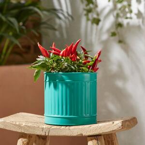 Small Bright Metal Plant Pot