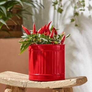 Small Bright Metal Plant Pot