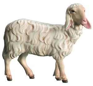 Sheep standing for Nativity scene - Royal