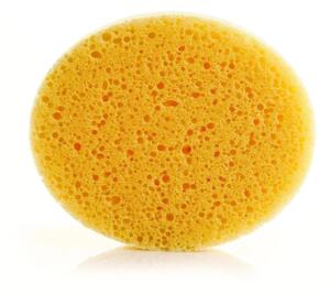 Baby plus Bath Sponge