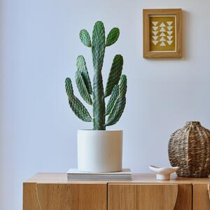 Cowboy Cactus House Plant in Pot Earthenware Oyster