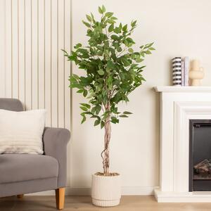 Artificial Ficus Tree in Cream Ribbed Cement Plant Pot Green