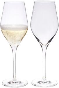 Good Size Champagne glass by L'Atelier du Vin Transparent