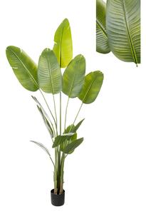 Decorative Plant Romimex Strelitzia Plastic 110 x 210 x 70 cm