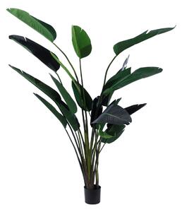 Decorative Plant Polyethylene Iron Cement Bird of paradise 245 cm 120 x 120 x 245 cm