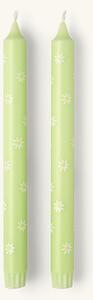 Candles 25 cm - Paraffin wax/stearin. Ø2.2 x 25 cm. 8 hours. 2 pcs. - Milky Green - Søstrene Grene
