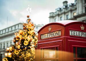 Photography An Illuminated Christmas Tree and Red, Tim Grist Photography