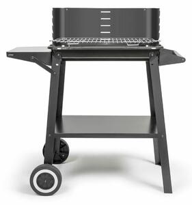 Barbecue Portable Livoo Stainless steel