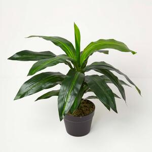 Homescapes Artificial Dragon Tree in Pot 65 cm Tall Dracaena Fragrans