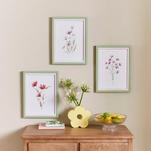Set of 3 Watercolour Floral Framed Prints MultiColoured