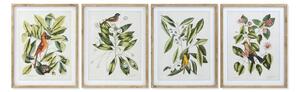 Painting DKD Home Decor Bird 55 x 2,5 x 70 cm Tropical Birds (4 Pieces)