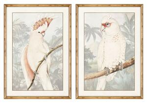 Painting DKD Home Decor Parrot Tropical 50 x 3 x 70 cm (2 Units)