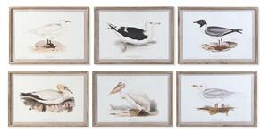 Painting DKD Home Decor 70 x 2,5 x 50 cm Traditional Birds (6 Pieces)