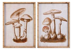 Painting DKD Home Decor Crystal 50 x 70 x 2,8 cm 50 x 2,8 x 70 cm Mushrooms (2 Units)