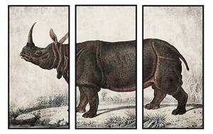 Painting DKD Home Decor Colonial Rhinoceros (180 x 4 x 120 cm)