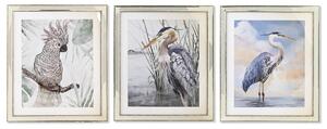 Painting DKD Home Decor 40 x 1,6 x 60 cm Birds Mediterranean (3 Pieces)