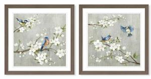 Canvas DKD Home Decor 63 x 3 x 63 cm 60 x 3 x 60 cm Birds Shabby Chic (2 Units)