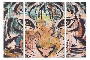 Set of 3 pictures DKD Home Decor Colonial Tiger 140 x 3,8 x 100 cm