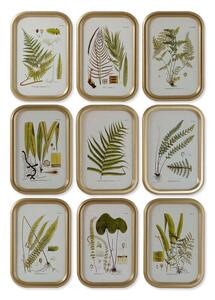 Painting DKD Home Decor Modern Botanical plants 30 x 2 x 45 cm (9Units)