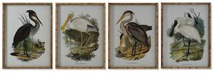 Painting DKD Home Decor Birds Oriental 45 x 3 x 60 cm (4 Units)