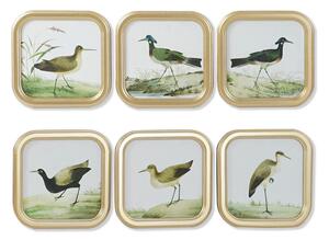 Painting DKD Home Decor Birds Cottage 30 x 2 x 30 cm (6 Units)