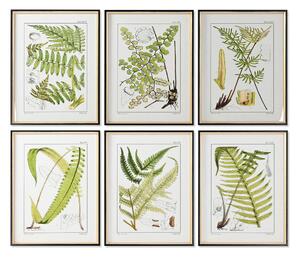 Painting Home ESPRIT Modern Fern 50 x 2,5 x 65 cm (6 Units)