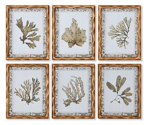 Painting Home ESPRIT Green Beige Golden Botanical plants 28 x 2,8 x 36 cm (6 Units)