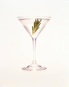 Photography Martini with sprig of rosemary, Jonathan Kantor Studio