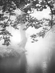 Photography Misty river, Rudolf Vlcek