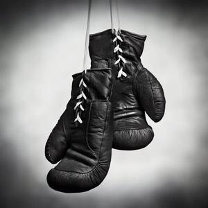 Photography Laced boxing gloves, SEAN GLADWELL