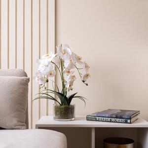 Artificial White Orchid in Glass Plant Pot White