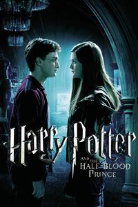 Art Poster Harry Potter and The Half-Blood Prince - Ginny's Kiss, (26.7 x 40 cm)
