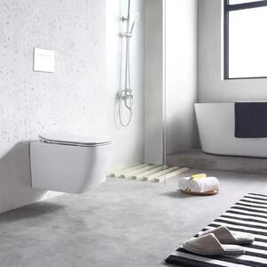 TOILET BOWL REA MARTIN SLIM RIMLESS DUROPLAST