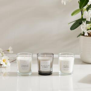 Set of 3 Pear & Gardenia, Plum Patchouli and Tuberose Freesia Candles Clear