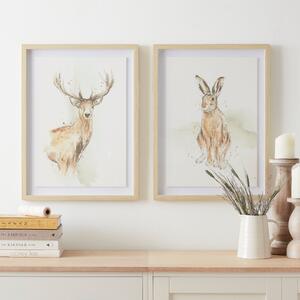 Set of 2 Woodland Animals Framed Print Brown