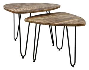 HSM Collection 2 Piece Coffee Table Set Dexter