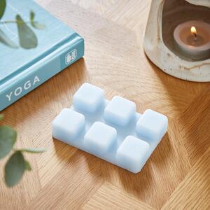 Set of 6 Cotton and Blossom Wax Melts Blue