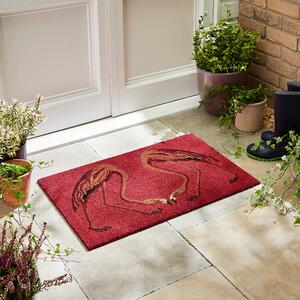 Flamingo Coir Doormat MultiColoured