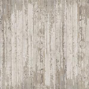 NLXL Concrete Wallpaper CON-06