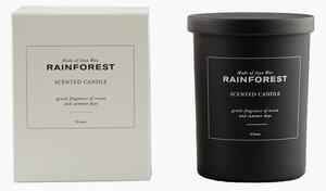 Rain forest Scented Candle