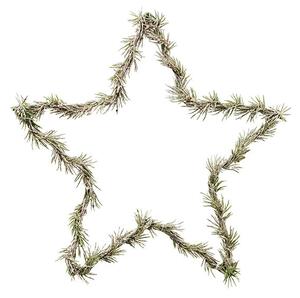 Natural Wreath Star with LED Lights by House Doctor