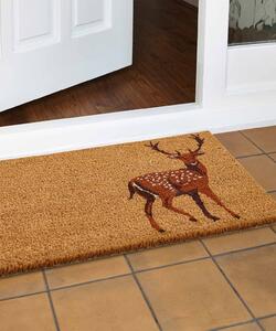 Damart Coir Doormat